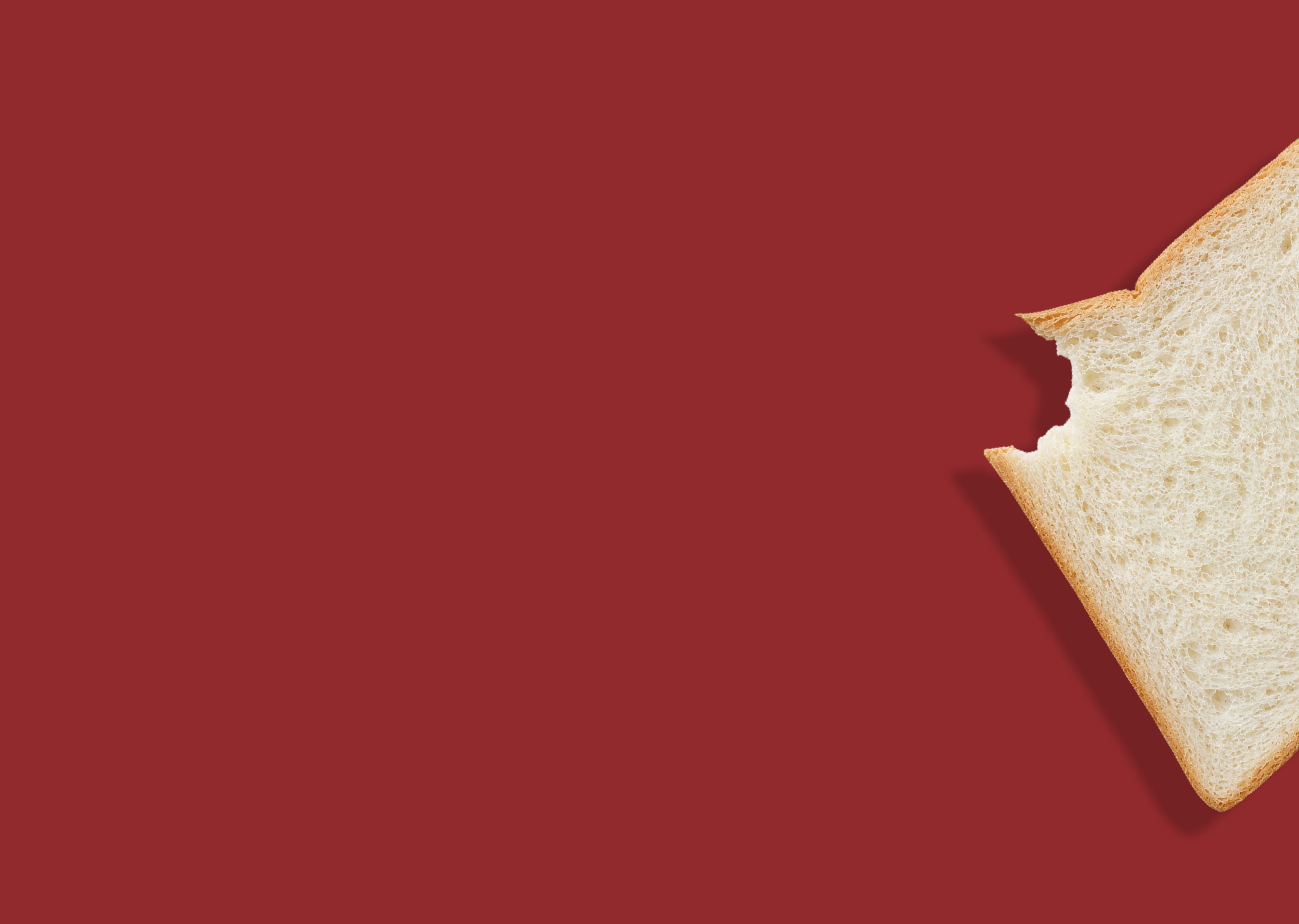 Slice of White Bread